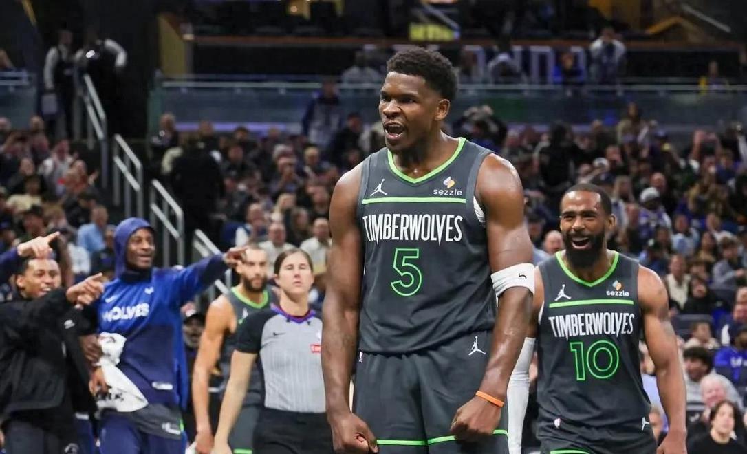 明尼苏达森林狼队