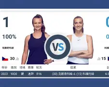 科维托娃连续三场比赛得分超过晋级李娜怒砍29分，媒体一致点评：德约科维奇在TL比赛中官方发布新规